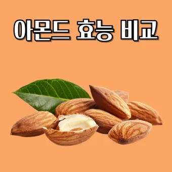 아몬드 효능 하루 섭취량 칼로리_11