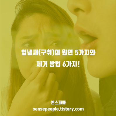 입냄새 구취
