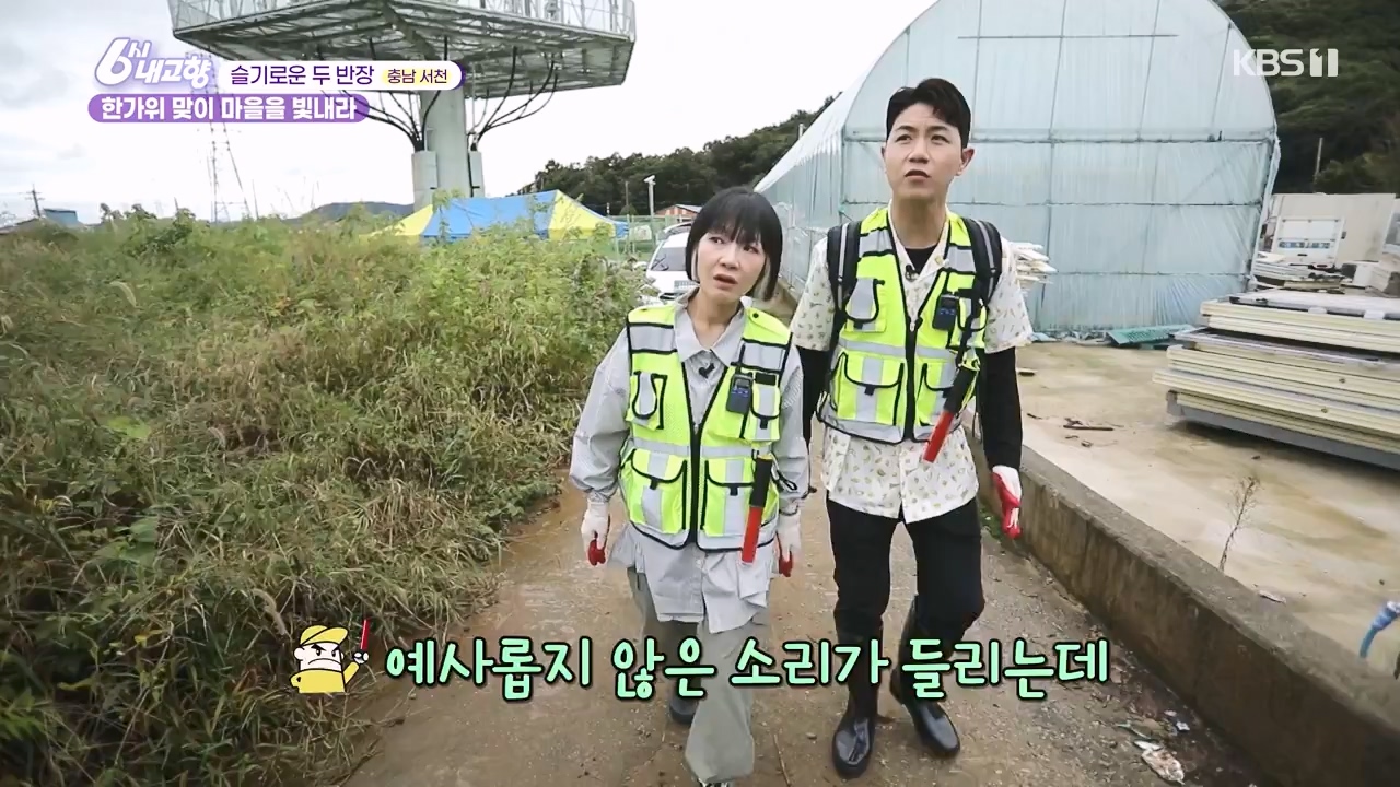 6시 내고향.E7888.230926p-NEXT.mp4_20230926_214717.174.jpg