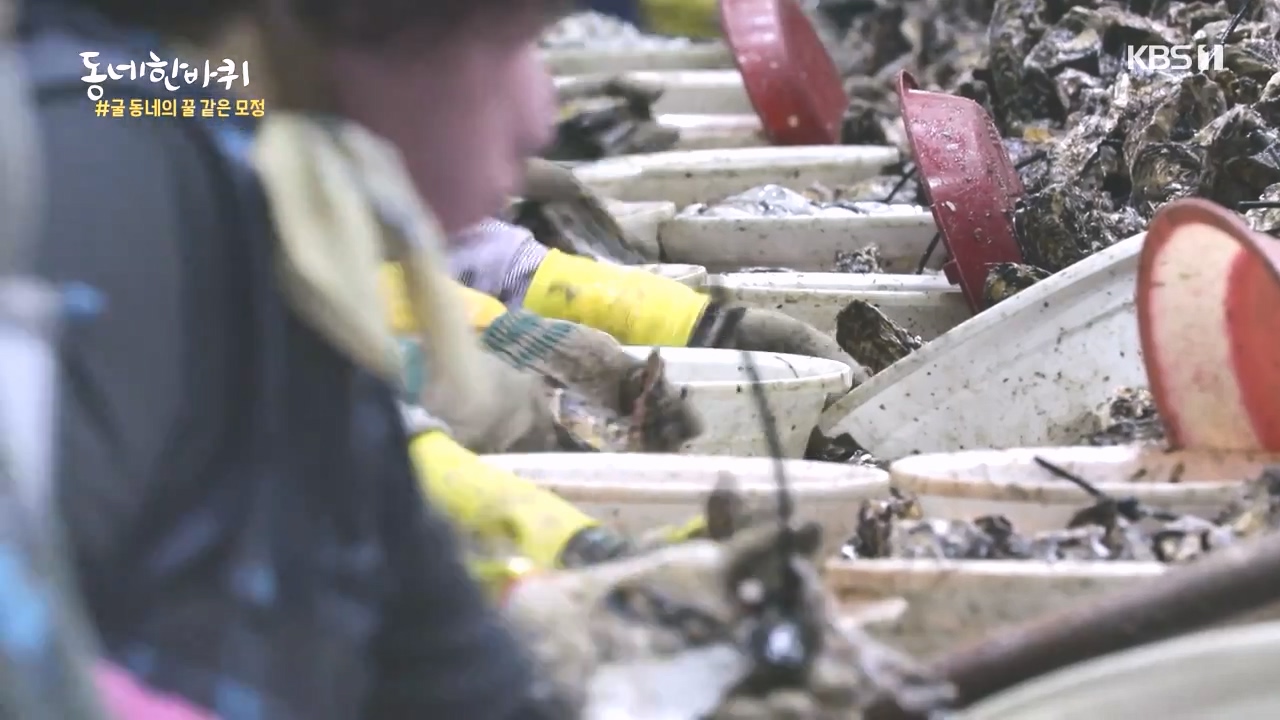 동네 한 바퀴.E243.231015p-NEXT.mp4_20231015_180313.486.jpg