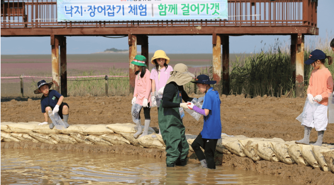 무안 황토 갯벌 축제