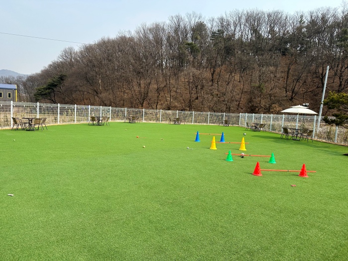 이천 애견카페 리츠펫 선물방문 후기