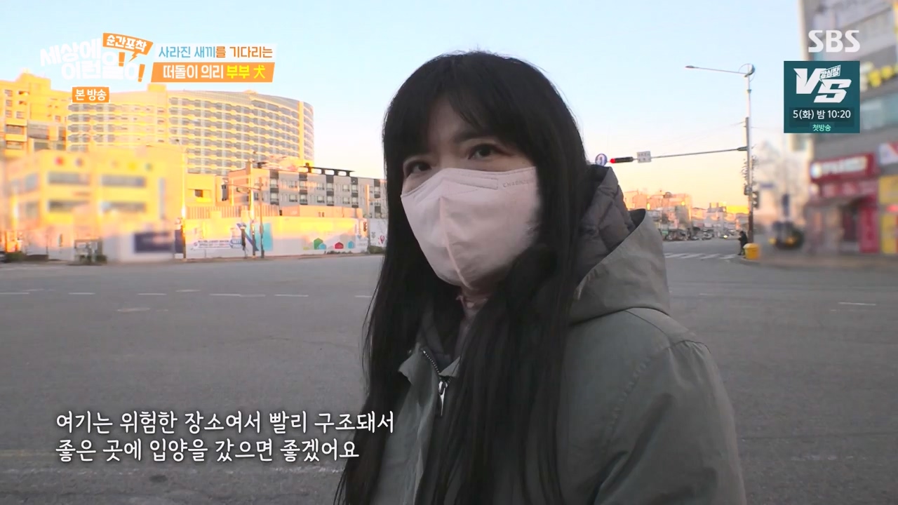순간포착 세상에 이런일이.E1254.231203p-NEXT.mp4_20231203_140543.655.jpg
