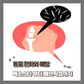  펙소스타 부터 페브릭정 / 통풍 통증 완화와 예방
