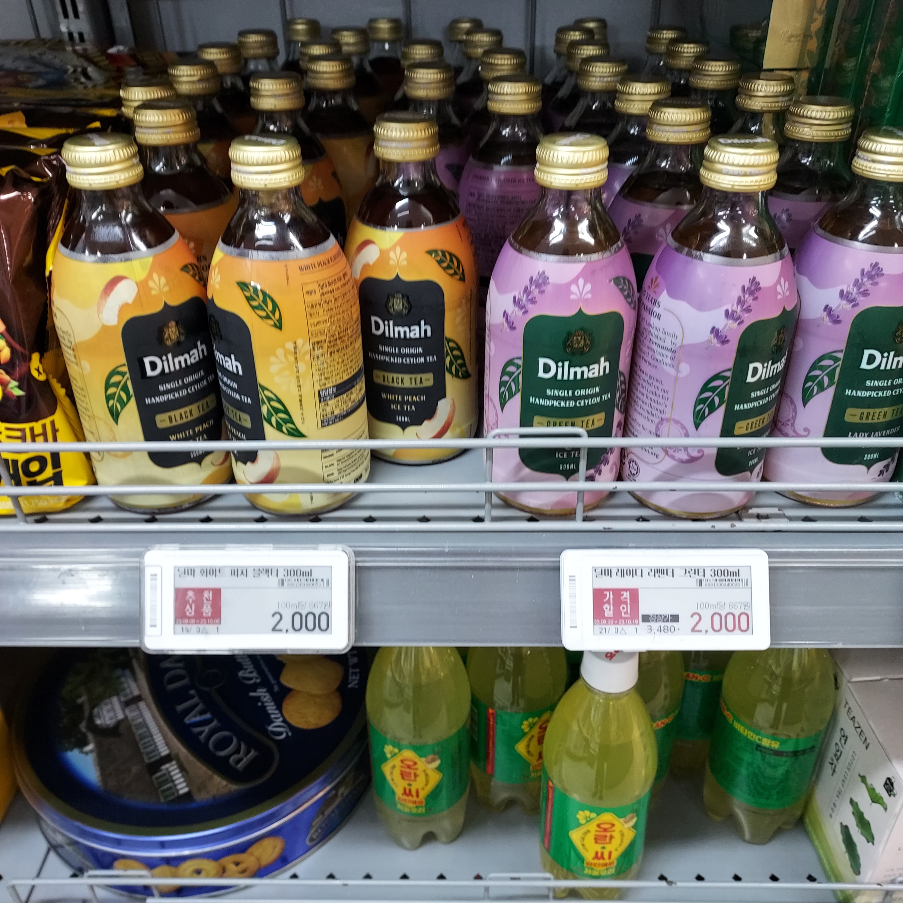 딜마 아이스티