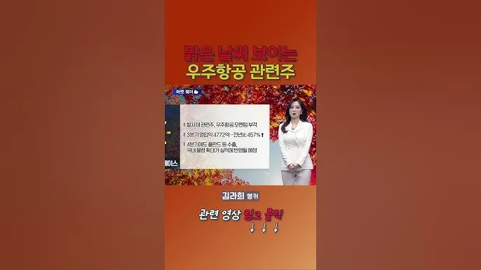 항공주 항공 대장주 관련주 TOP5_4