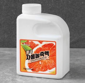 흥국에프엔비 자몽 농축액&#44; 1개&#44; 1kg