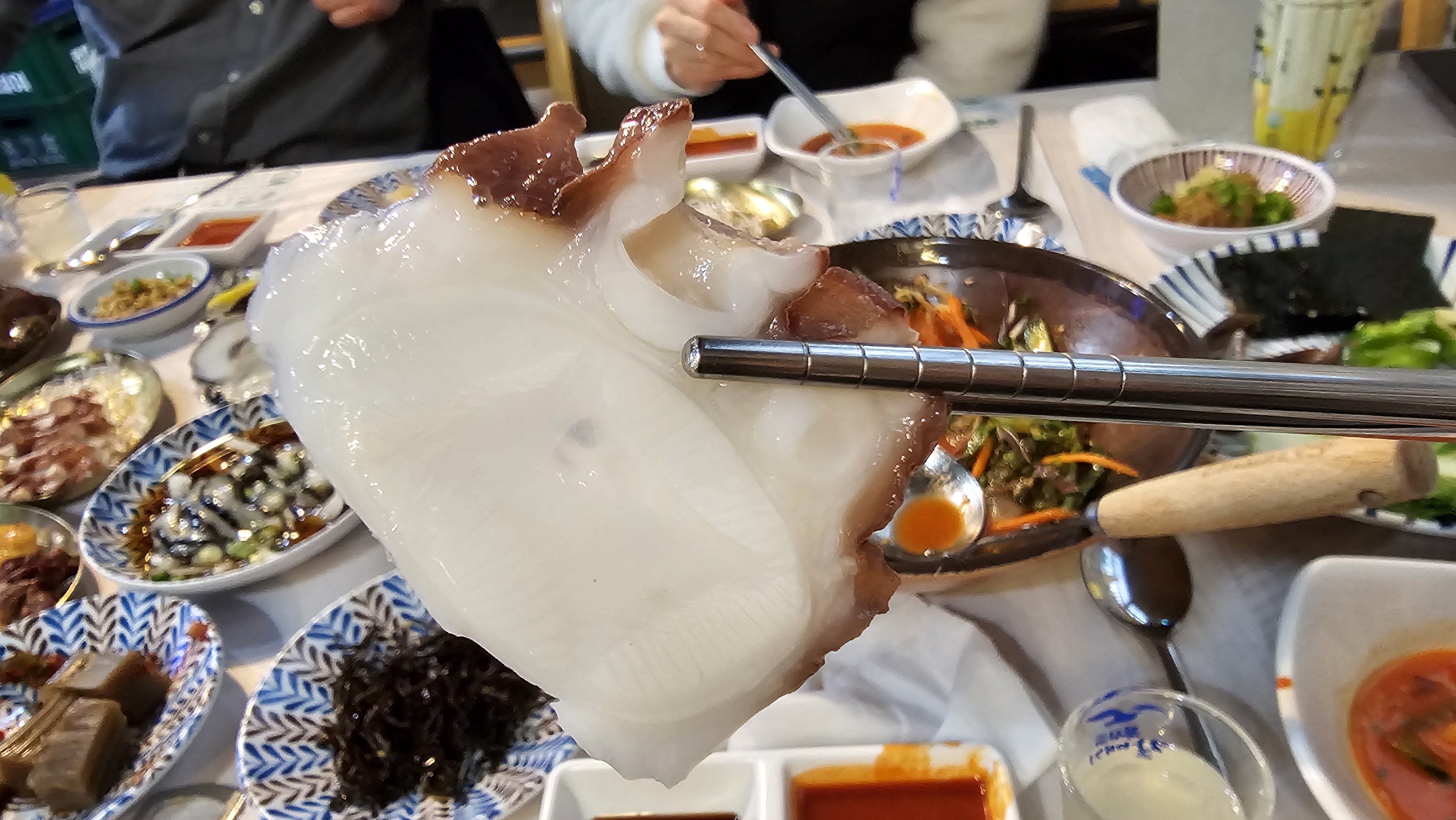 해운대 다찌 대왕문어