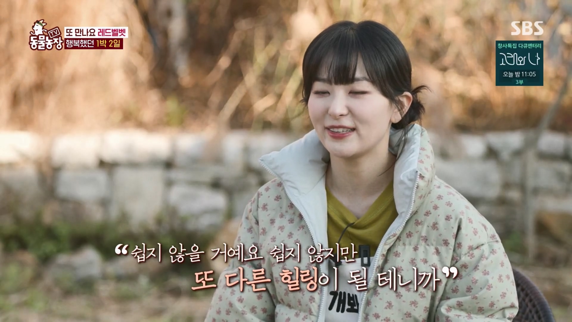 TV 동물농장.E1148.231203p.H264-F1RST.mp4_20231203_165657.615.jpg
