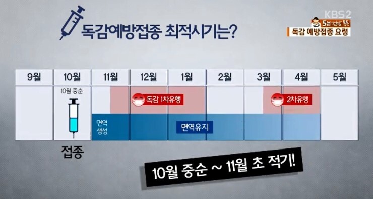  독감 접종예약방법 및 독감 접종 시기, 독감백신 종류, 부작용, 술