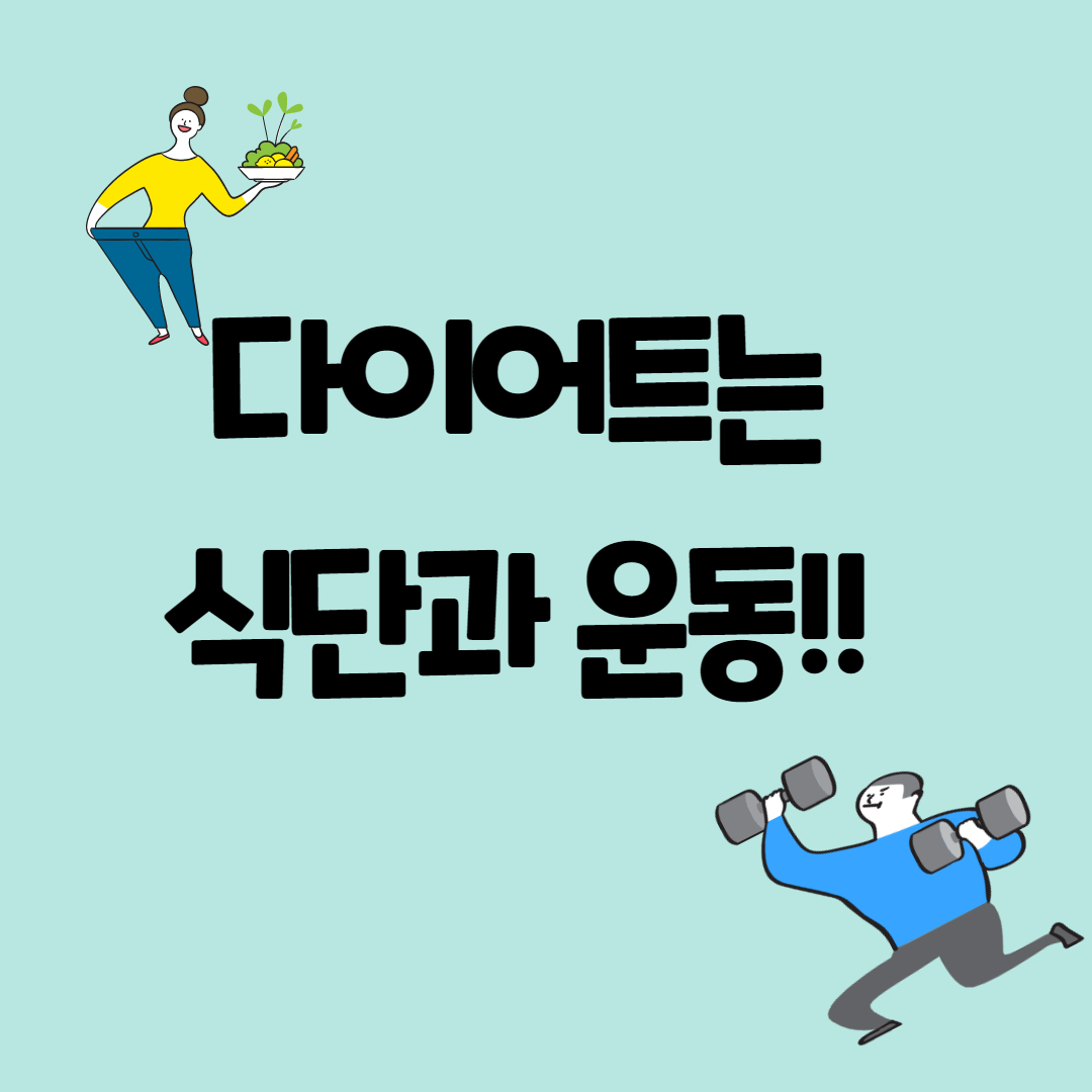  이하이 다이어트 : 운동과 식단의 중요성