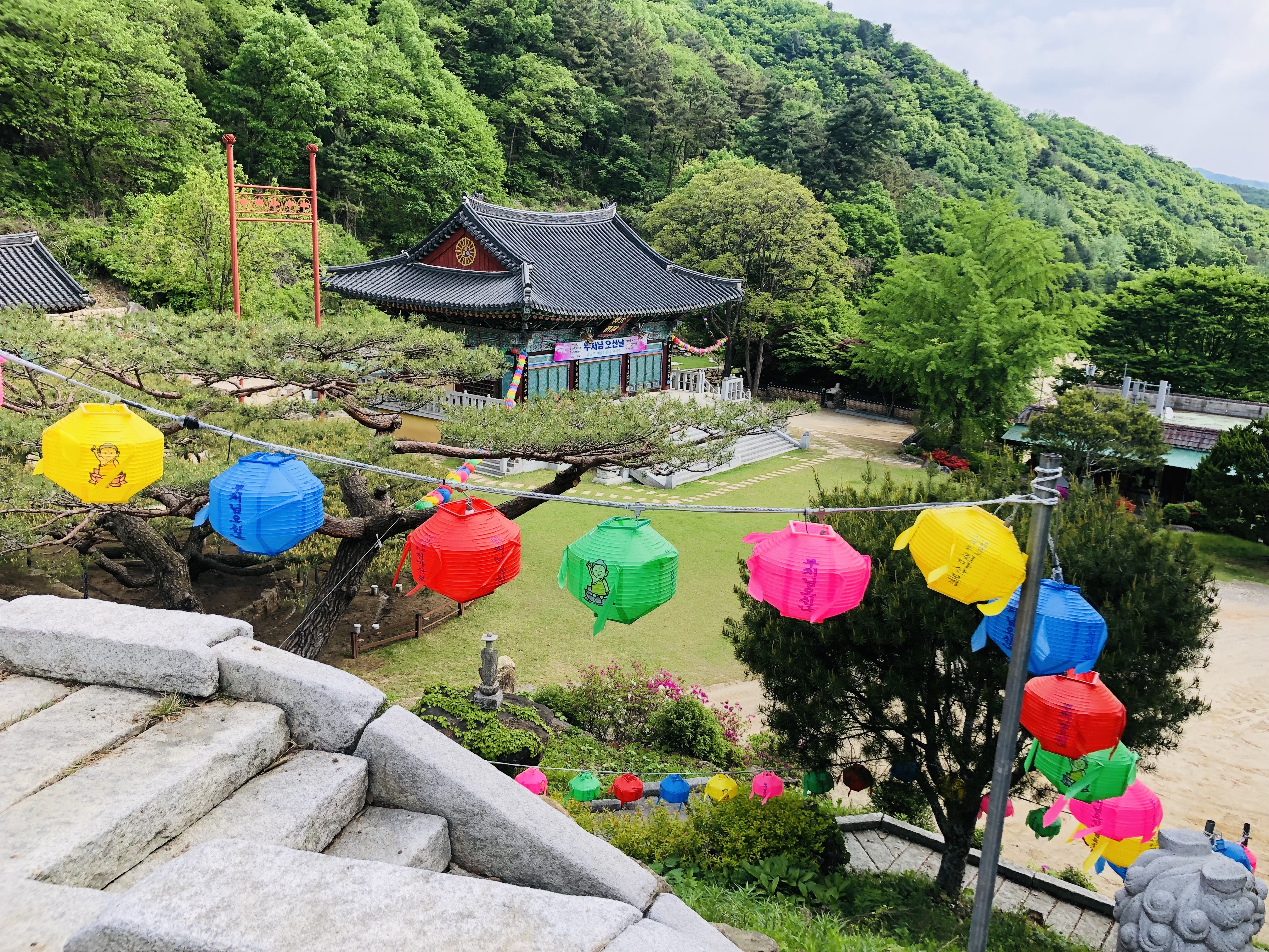 부처님오신날 가볼만한곳