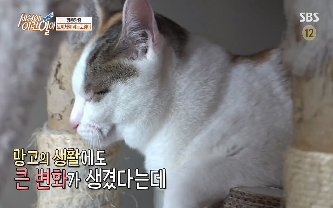 순간포착 세상에 이런일이.E1178.220504p-NEXT.mp4_20220504_180740.855.jpg