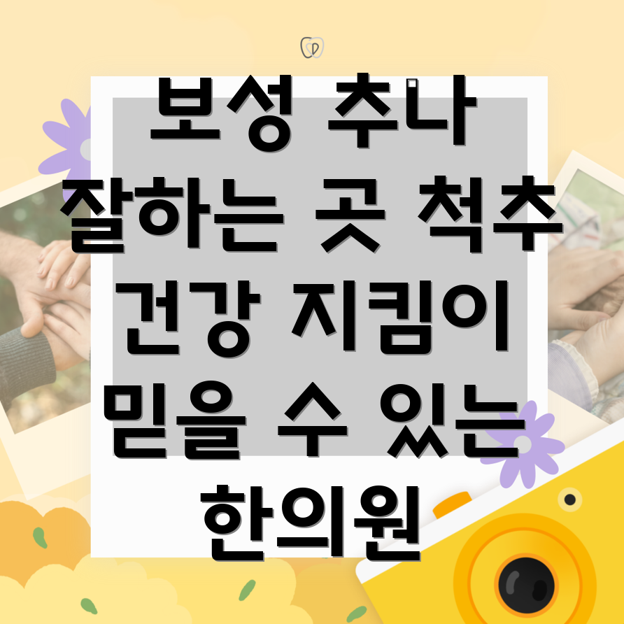 보성군 추나요법