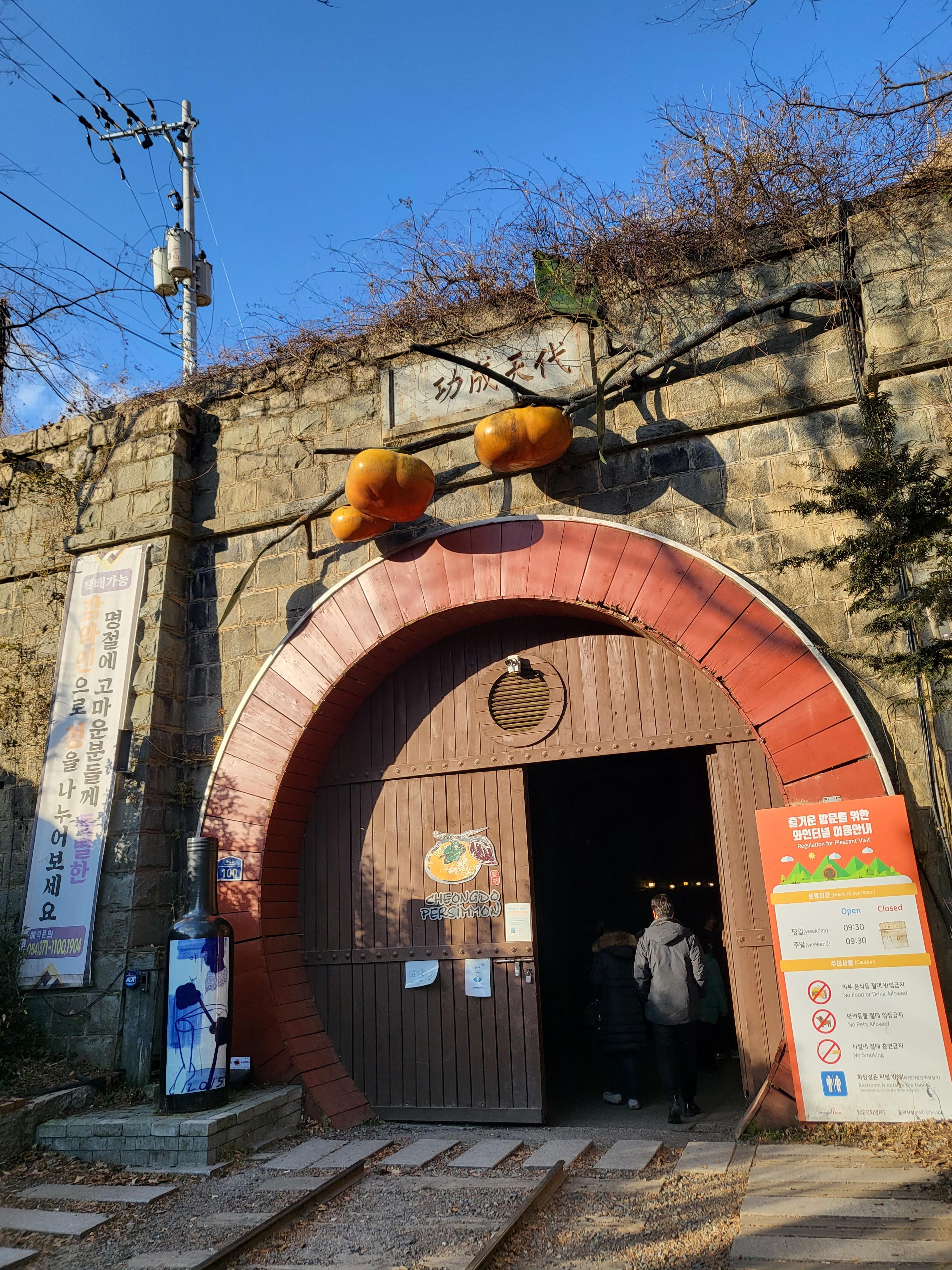  국내여행_와인터널_청도