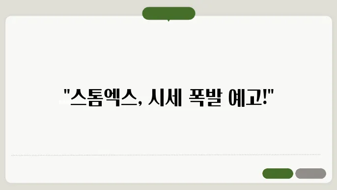 스톰엑스 코인 시세 전망 분석 꼼꼼히 정리