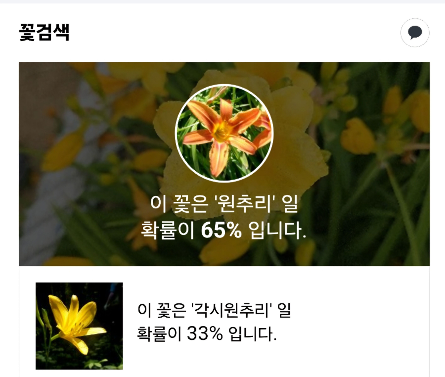 꽃검색 결과