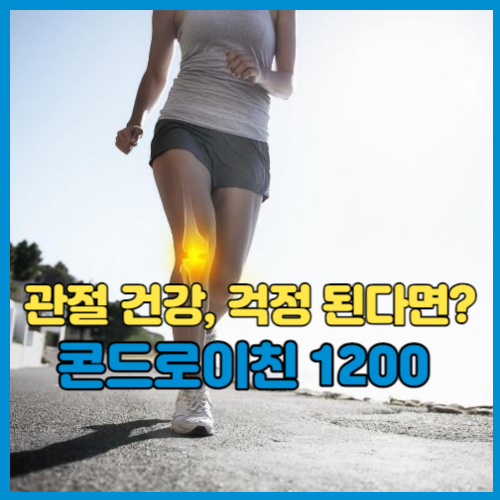 관절엔 콘드로이친 1200