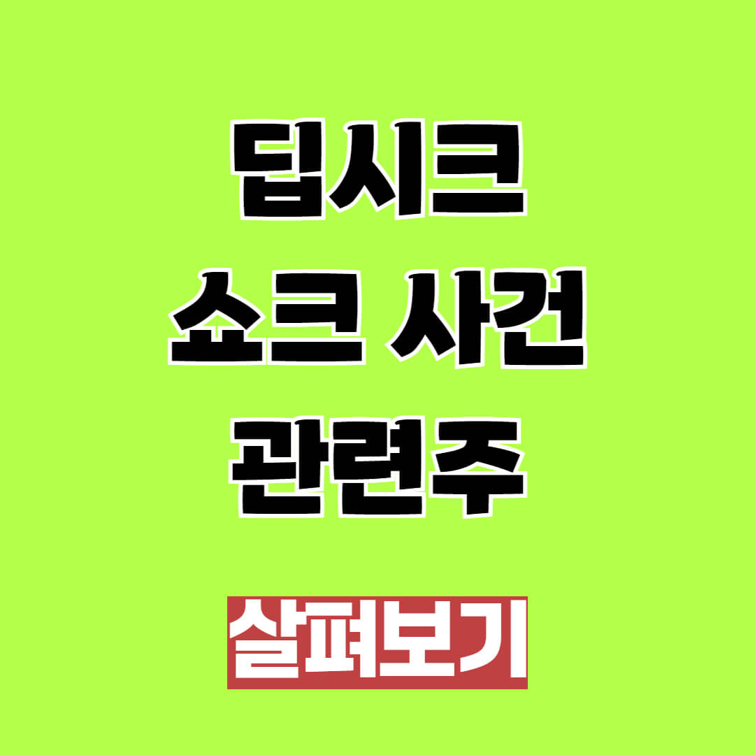 중국 딥시크 쇼크 사건 및 관련주 살펴보기