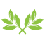 잎새2