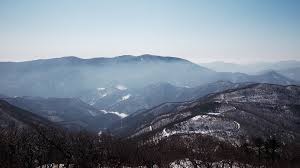  석탄 옮기던 옛길, 운탄고도의 낭만을 찾아서[당신의 가을·겨울을 책임질 국유림 명품숲] ③ 정선 함백산 하늘숲글: 최준석 동부지방산림청장