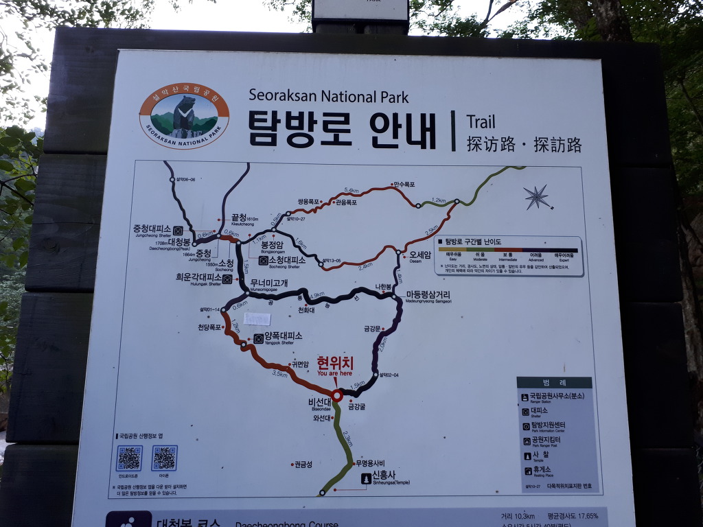 공룡주먹밥 이미지