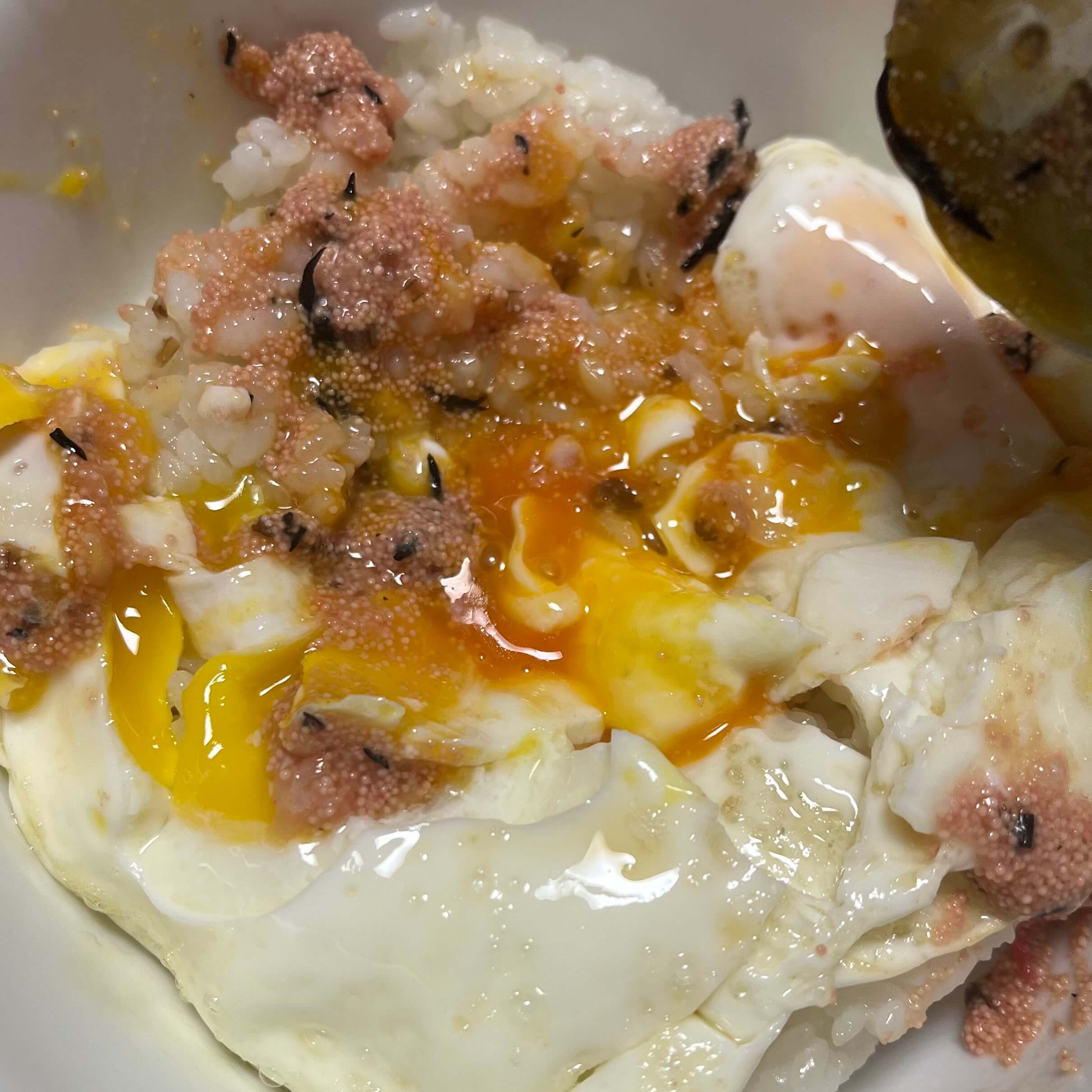 추천 계란 - 1등급 계란 - 황금 계란 40 계란 - 아자몰 계란 - 마이돈내 - Reviews 002
