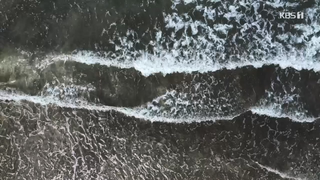 다큐 On.E221.231030p.H264-F1RST.mp4_20231031_202724.177.jpg