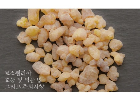  보스웰리아 효능 및 주의사항 제대로 알기!