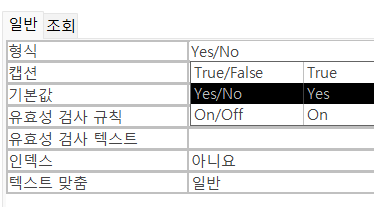 필드 '예/아니오' 속성