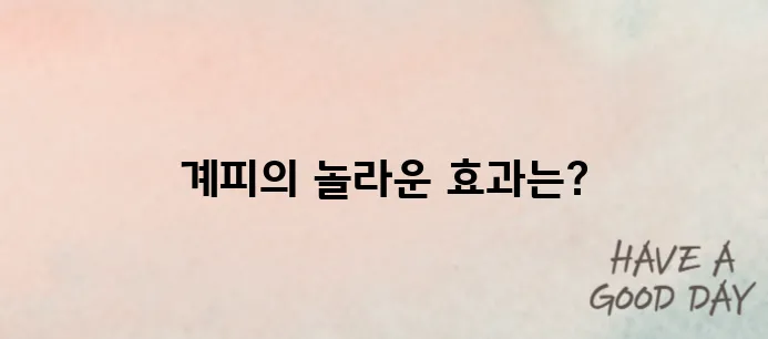 계피 효능과 부작용 (혈당 조절, 다이어트, 섭취 주의사항)