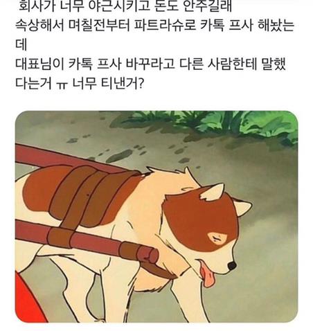  회사 대표가 카톡 프사 바꾸라함