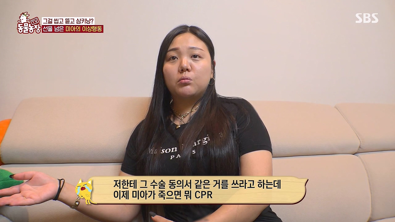 TV 동물농장.E1138.230918p-NEXT.mp4_20230917_174240.161.jpg