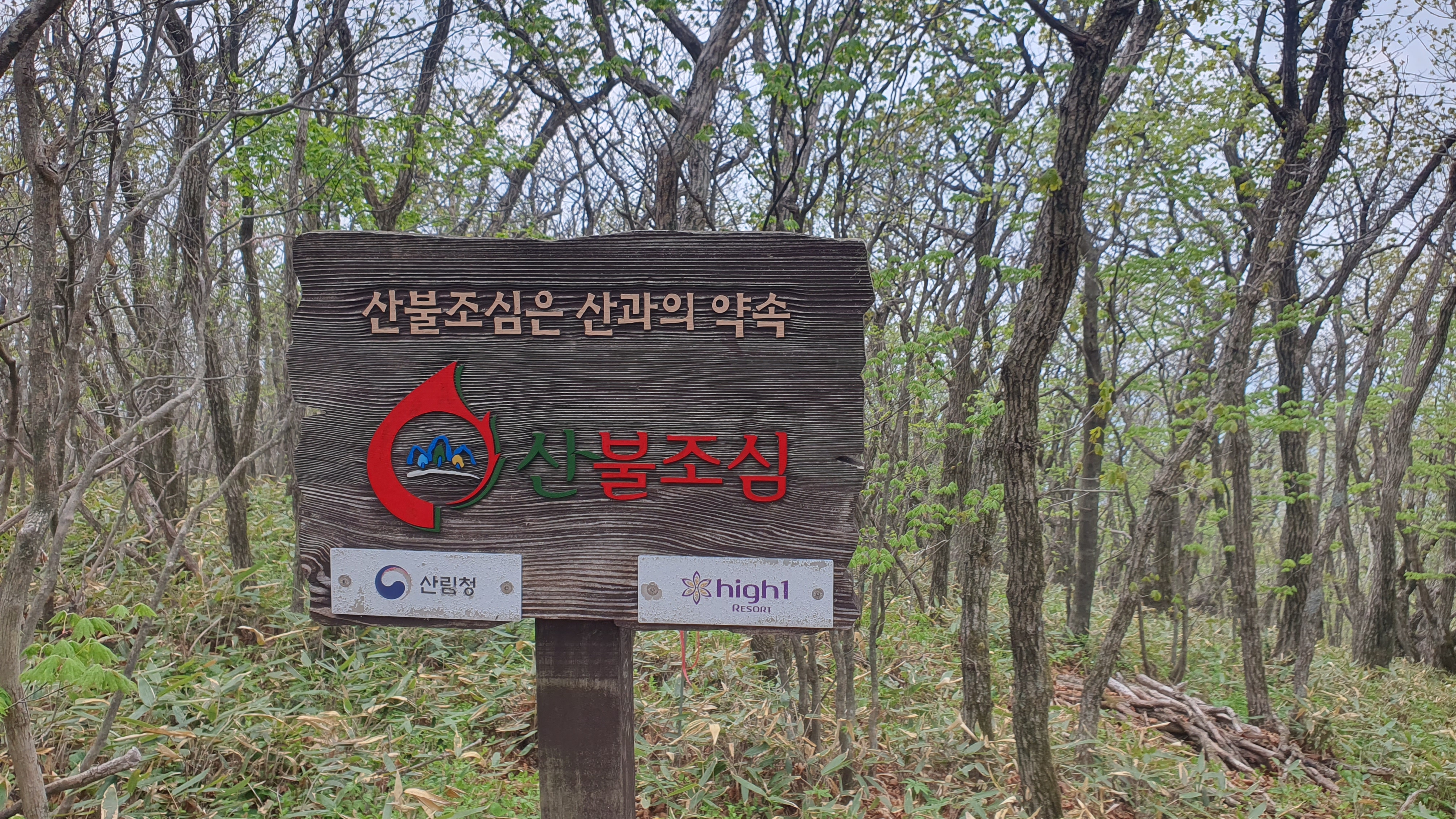 정선 하이원 스카이 1340 하이원 곤돌라 이용 요금, 할인 안내