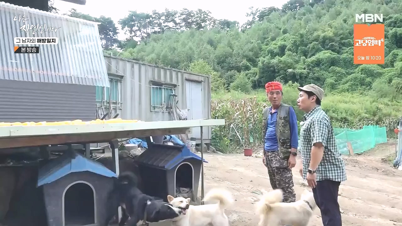 나는 자연인이다.E570.230907p-NEXT.mp4_20230909_163954.460.jpg