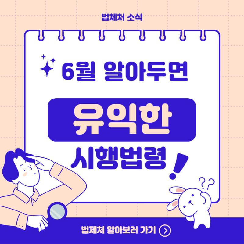  일상생활정보 2023년 6월부터 바뀌는 새로운 시행 법령 자동자관리법 만나이통일법 해수욕장텐트 알박기 야생동물보호