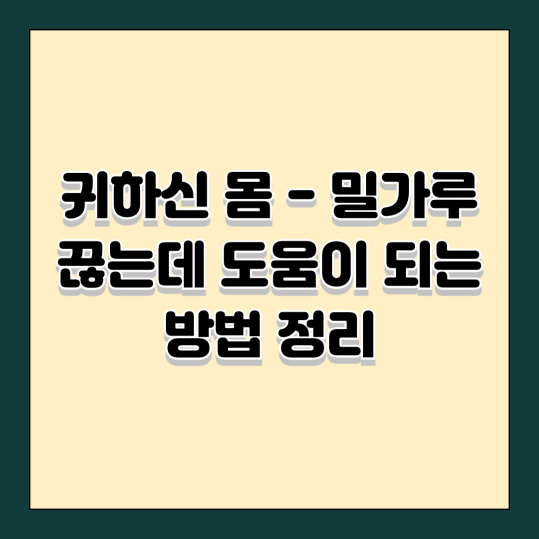 귀하신 몸 - 밀가루 끊는데 도움이 되는 방법 정리