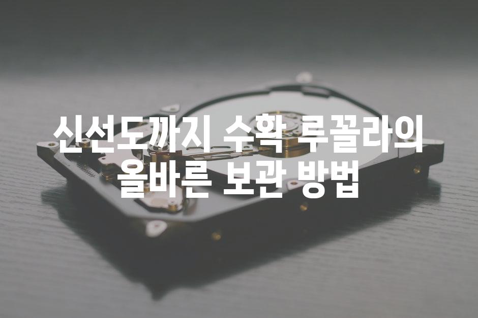 신선도까지 수확 루꼴라의 올바른 보관 방법