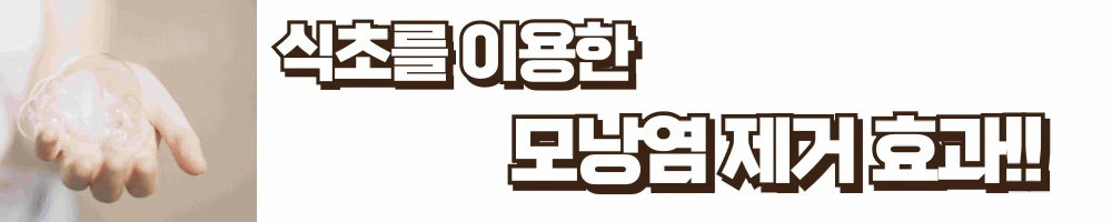 제목을-입력해주세요_ (1).gif