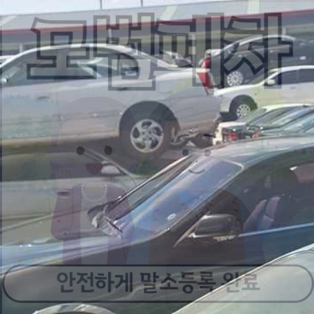 서울시도봉구폐차장