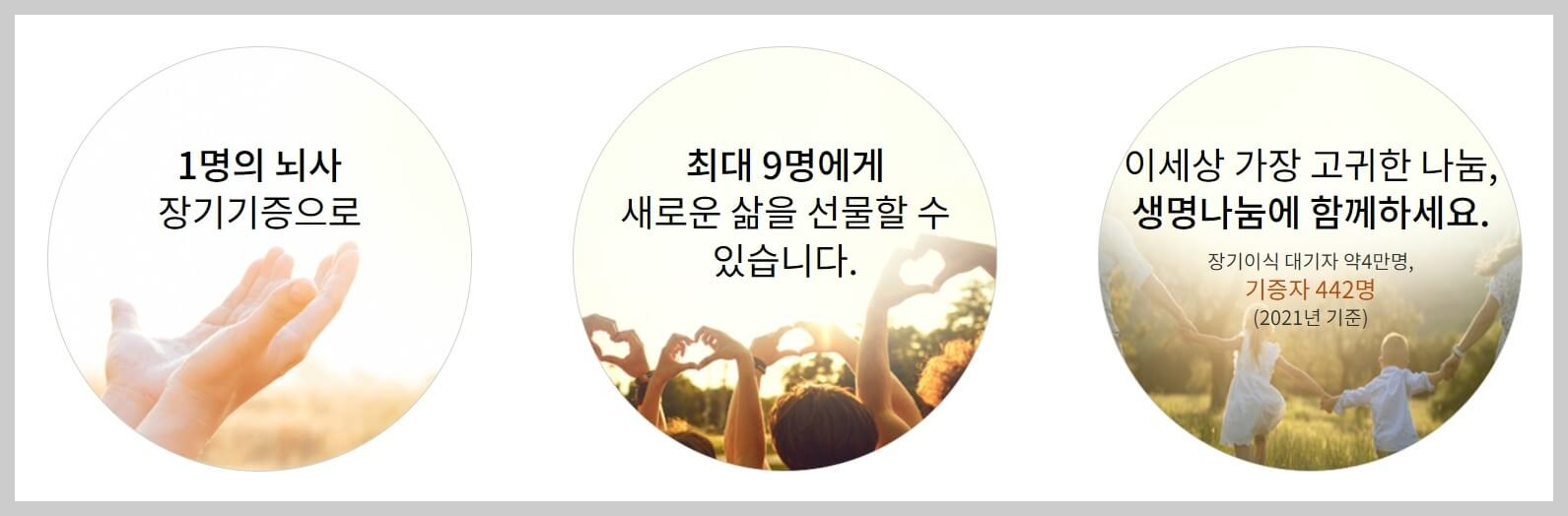 장기기증_인체조직기증