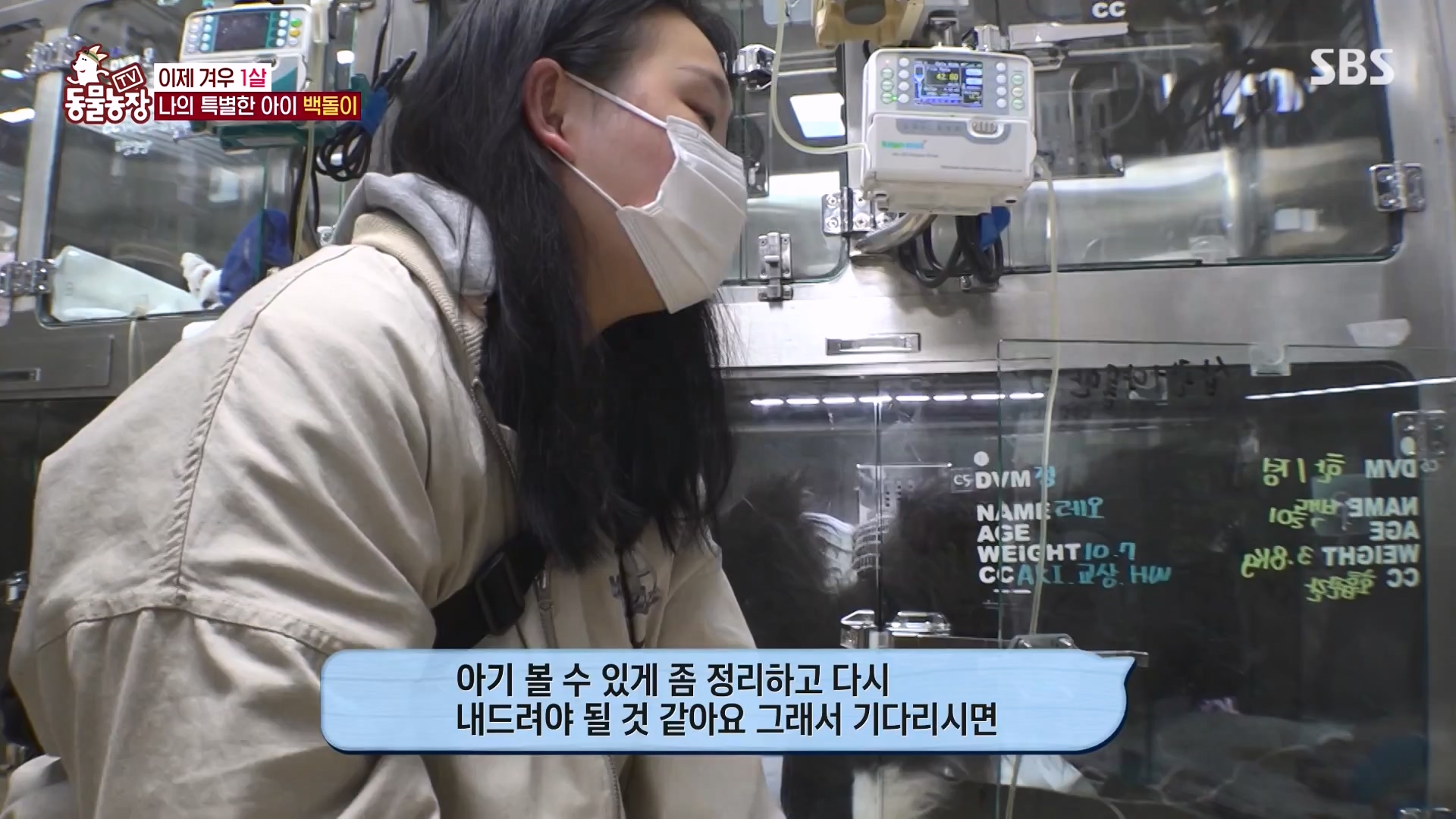 TV 동물농장.E1164.240324p-NEXT.mp4_20240324_172349.092.jpg