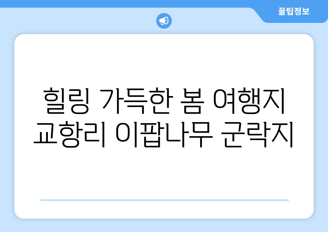 힐링 가득한 봄 여행지 교항리 이팝나무 군락지