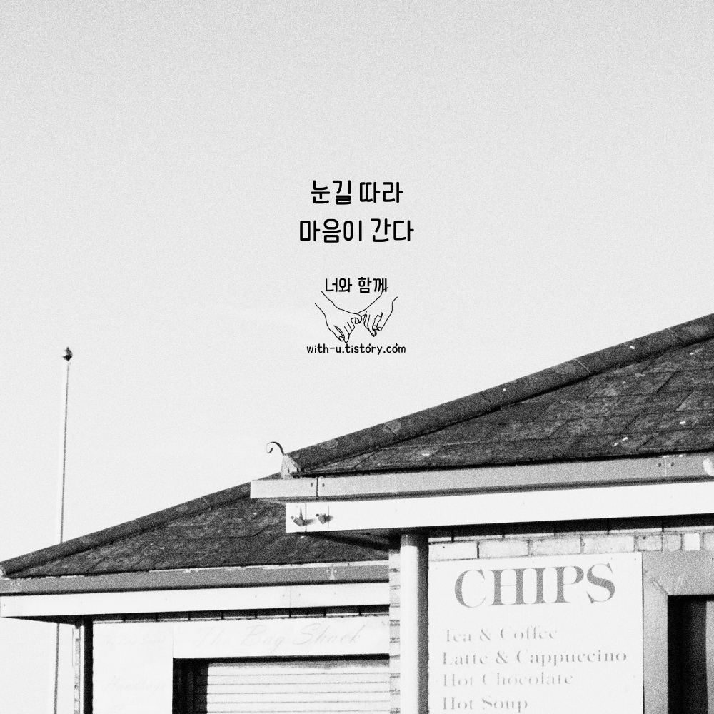  눈길 명언 : 짧고 좋은 글귀 : 짧은 명언
