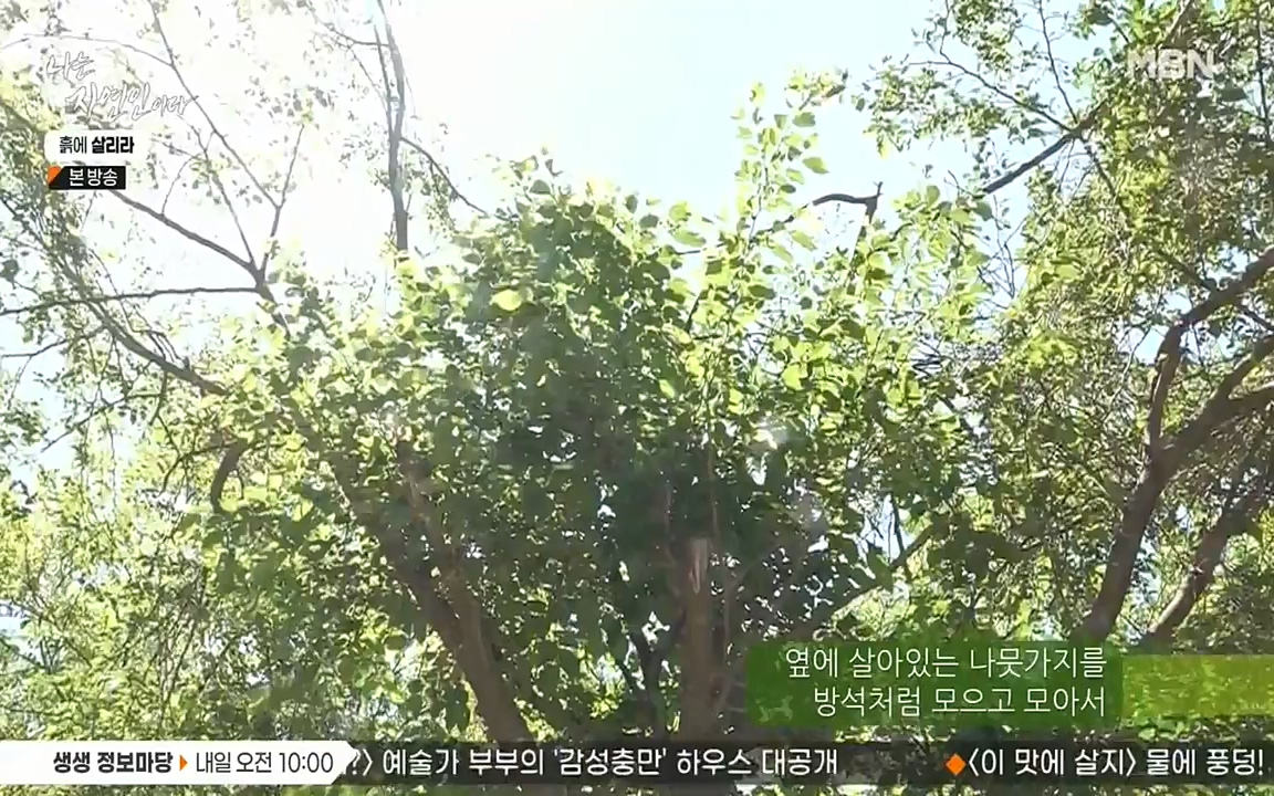 나는 자연인이다.E507.220623p-NEXT.mp4_20220623_204036.542.jpg