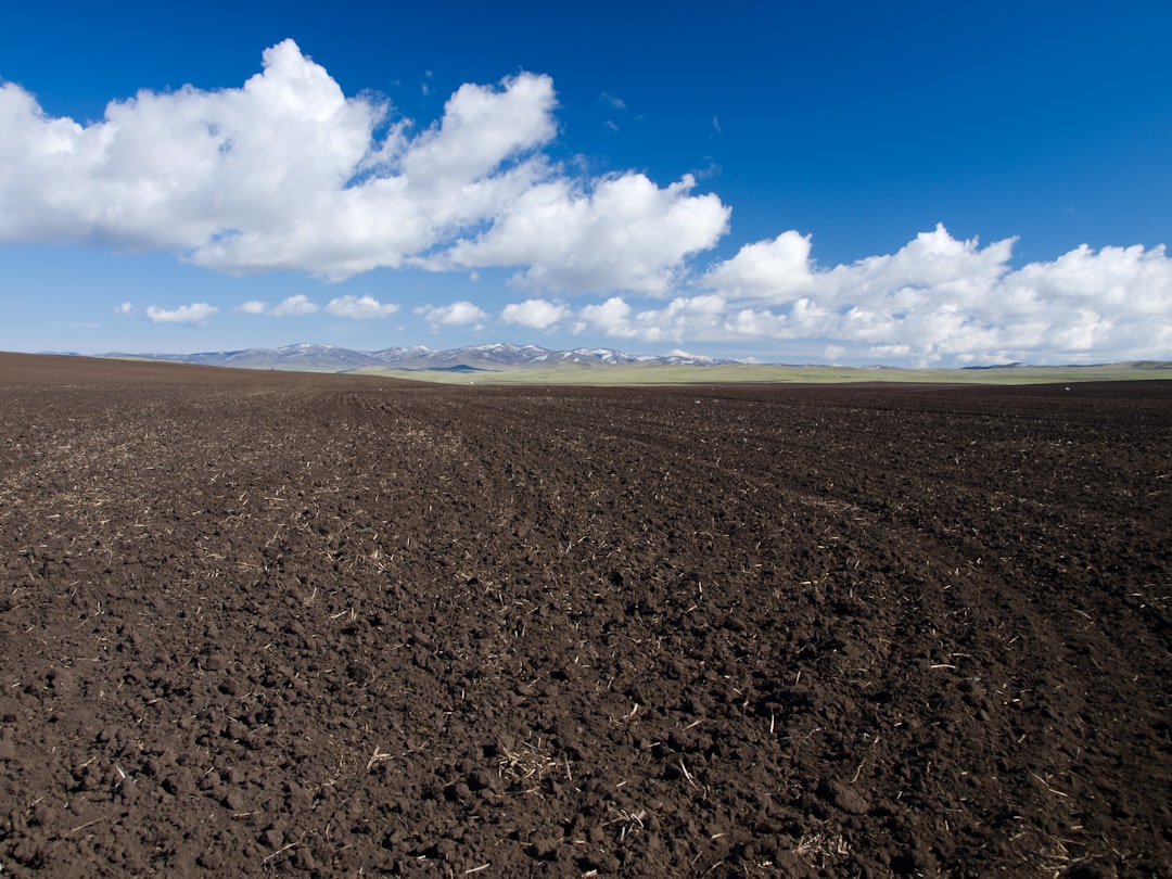 Soil