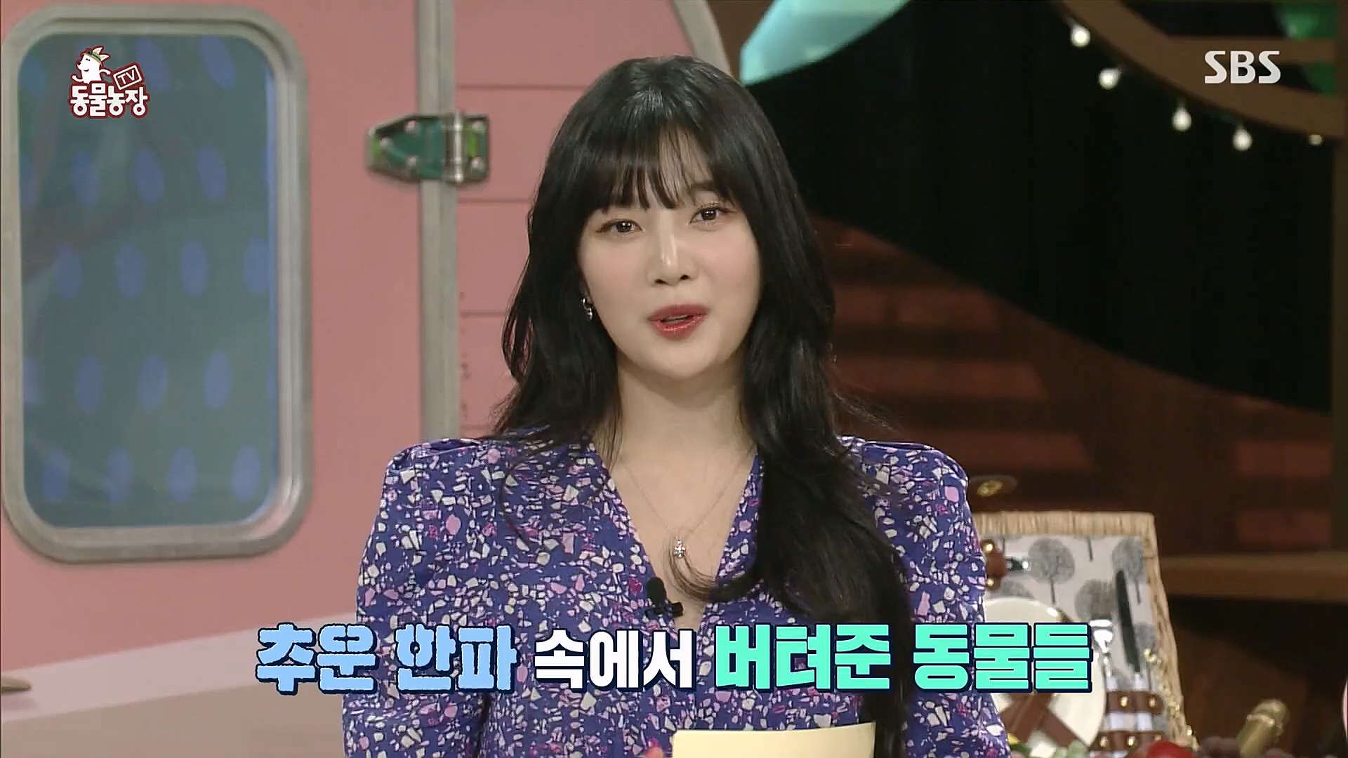 TV 동물농장.E1104.230115p.H264-F1RST.mp4_20230115_173156.576.jpg