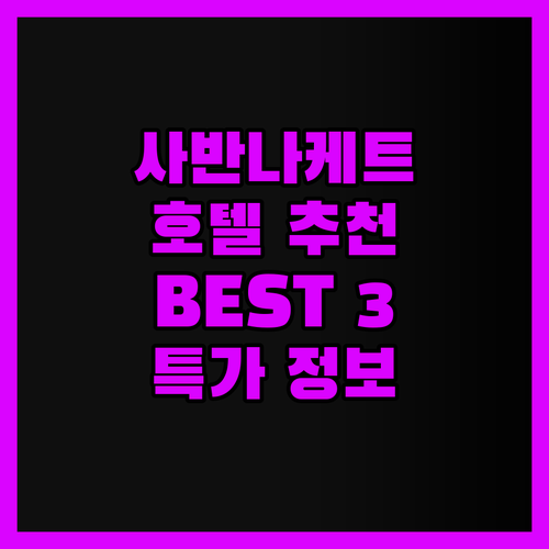 사반나케트 호텔, 어디가 좋을까? 현
