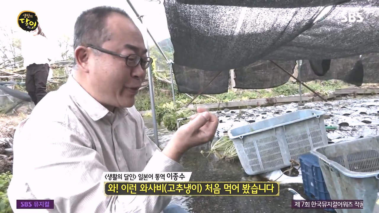 생활의 달인.E908.231017p-NEXT.mp4_20231017_195957.600.jpg