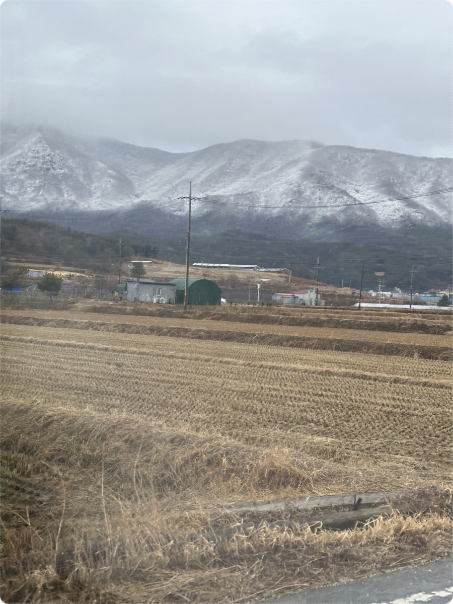 논도 보이네요~